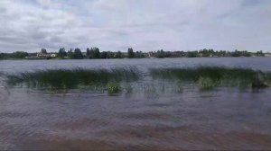 Прямой репортаж с Невского Пятачка