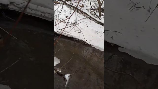 гуляем с козами зимой смотреть онлайн