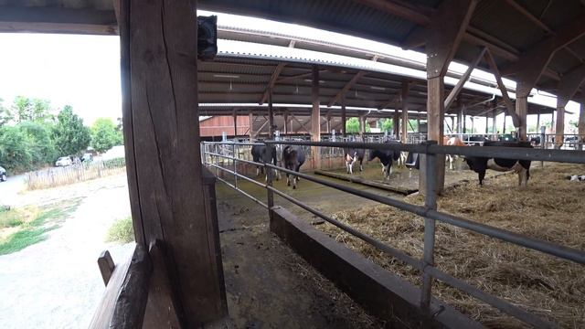 Ферма в Германии Darmstadt Hofgut Oberfeld смотреть онлайн