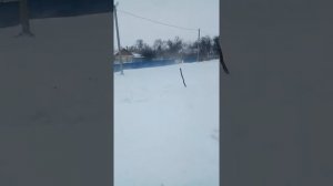 Погода в Ростовской области