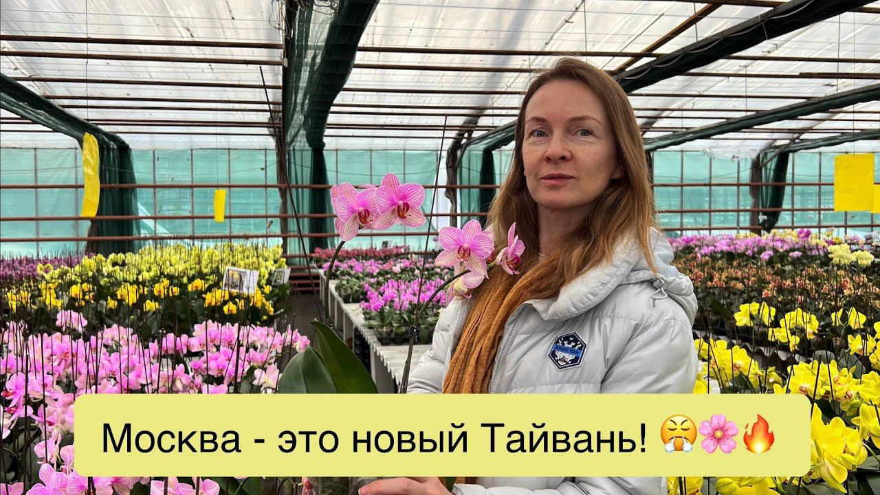 Едем смотреть орхидеи, которые выращивают в Подмосковье!