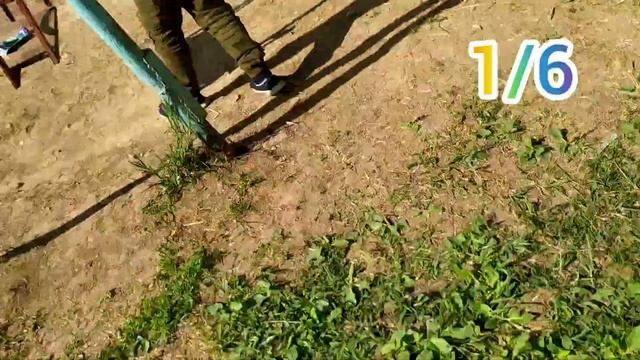 Праздник 1 июня! смотреть онлайн