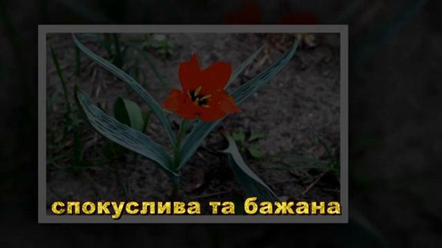 вітаю Всіх смотреть онлайн