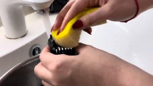 Как почистить акватеррариум для красноухих черепах #1