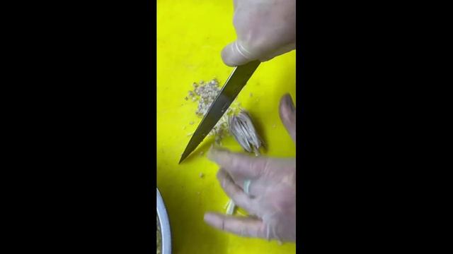 Форшмак. Готовим с Павлом Кулагиным