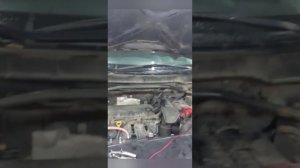 Аппаратная замена антифриза Citroen C-Crosser
