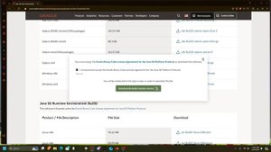 How to fix Minecraft Prism Launcher java error