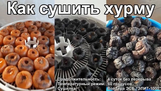 Как сушить хурму. Сушеная хурма. Сушилка ВолТера "ЭЛИТ-1000". Польза и вред хурмы. Вяленая хурма.