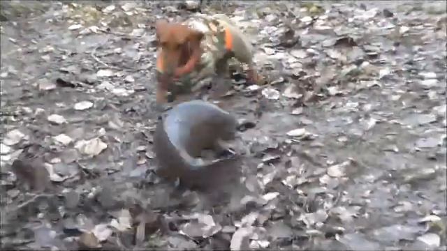 Рыбачка Кацу (Хозяйка Судьбы из Страны Грёз)