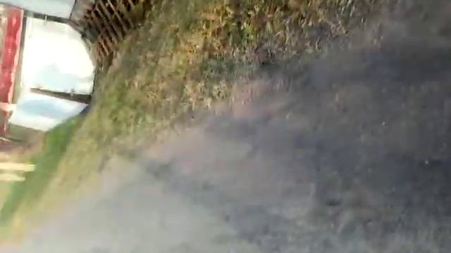 розовые куры !!!! смотреть онлайн