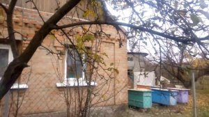 ЧТО ДЕЛАТЬ ЕСЛИ УСЫХАЕТ ДЕРЕВО. Спасаем яблоню.