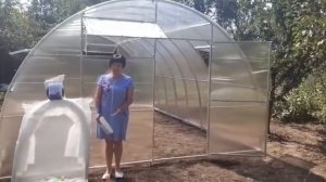 Теплица 4 на 6 м. Реальный отзыв на теплицу Казачок профи