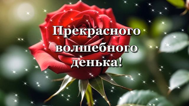 Хорошего Воскресного Дня! Видео пожелание смотреть онлайн