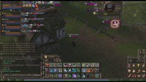 Lineage 2 Essence server Grey ally Rise