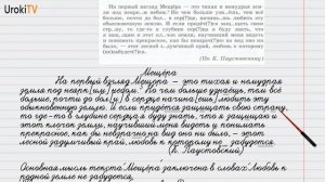 Упражнение №41 — Гдз по русскому языку 6 класс (Ладыженская) 2019 часть 1