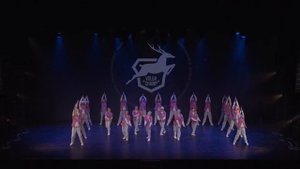 VOLGA CHAMP XIII |BEST SHOW JUNIORS advanced | NUTS CREW