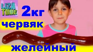 ОГРОМНЫЙ ЧЕРВЯК из ЖЕЛЕ 2 КГ  (✯◡✯)  Делаем с Лизой, Лиза и питомцы.