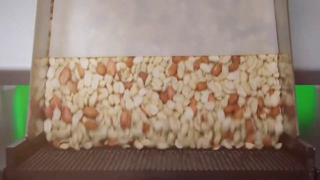 Сортировка арахиса на фотосепараторе SmartSort (2018) смотреть онлайн