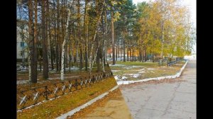 Усолье-Сибирское-7: старый лес