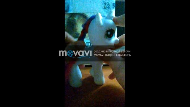 Как ухаживать за котёнком