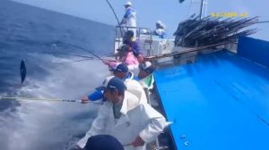 Прикольная  рыбалка, лучшие моменты на морской рыбалке. Funny Fishing