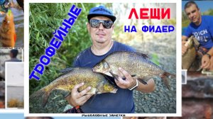 Трофейные Лещи на фидер. Отличная рыбалка на реке в июле. #трофейнаярыбалка