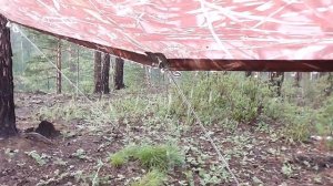 Тайга и горные реки Бурятии