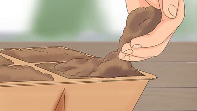 Grow Dichondra - Gardenfrontier смотреть онлайн