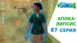 Апокалипсис #87. Расселяем этот дом. Челлендж The Sims 4
