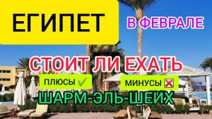 ЕГИПЕТ В ФЕВРАЛЕ: погода, море, отдых 2022. Стоит ли ехать в ШАРМ ЭЛЬ ШЕЙХ зимой в ФЕВРАЛЕ? Хургада