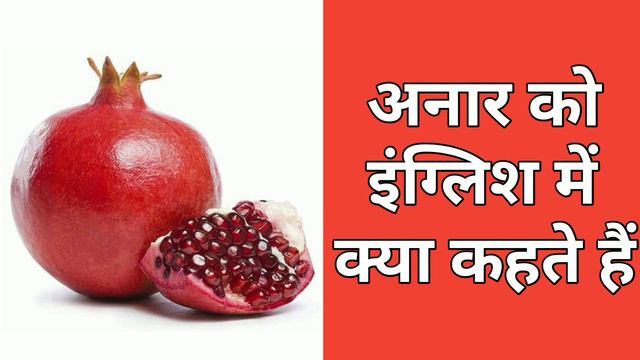 Anar in English / Anar ko english me kya kahte hai / अनार in english / Shabdkosh Dictionary смотреть онлайн