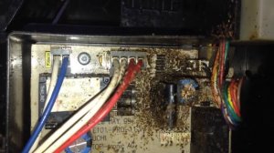 Krups 889 кофемашина, обзор внутри, примерные поломки помпы, немного тараканов и плесени!