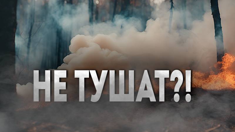Пожары возле Балея: видео очевидцев, ответы чиновников