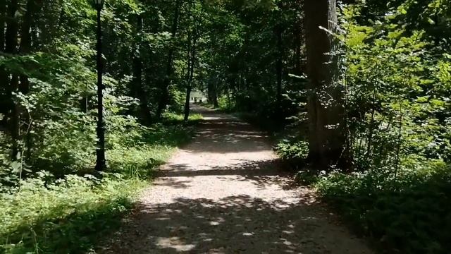 Оптина пустынь смотреть онлайн