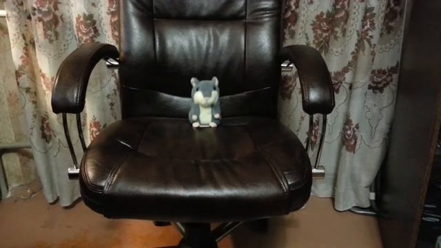 Хомяк и кресло смотреть онлайн