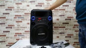 Акустическая система 200 ватт A/D/S/ TO010 активная, портативная колонка