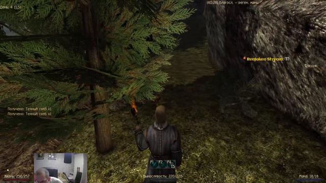 🔴 Готика 2 Новый баланс. Кс. Nodeath. Он вернулся смотреть онлайн