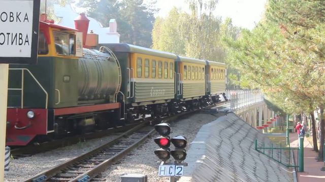 Прибытие ТУ7А-3343 на станцию Спортивная. ДЖД Новосибирска смотреть онлайн