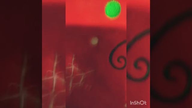 Мой вечерний маникюр))) смотреть онлайн