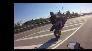 Honda hornet600 вилли!!!!