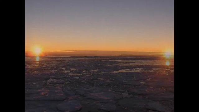 Антарктида,Южный полюс,Пингвины,Antarctica, South Pole, Penguins