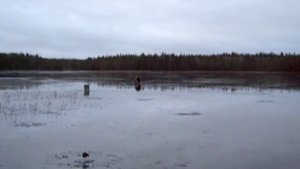 Настоящая ПОДЛЁДНАЯ  рыбалка