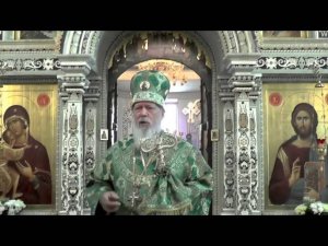 Истинная цель и смысл жизни