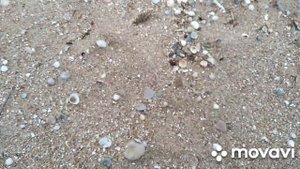 Мега Крестовый коп!!!Поиск с Nokta makro Simplex Plus!!!