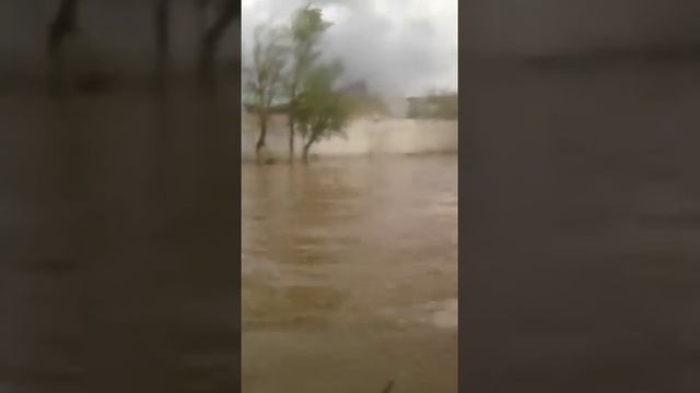 Волгоградские автобусы работают в любую погоду. смотреть онлайн