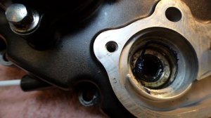 How do you know that Coolant Pump Seals require Replacement? "Green" oil leak? | HONDA CBR250R 2013