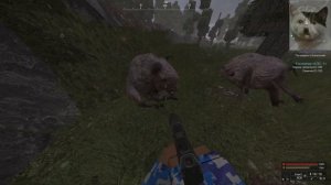 Нашёл ДОМ ШРЕКА в сталкрафте #stalcraft #мем #сталкрафт