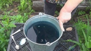 Спасаем огурцы от болезней с помощью зеленки. Зеленка для огурцов и помидоров