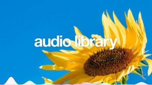 Sunset – Cykarl (No Copyright Music)