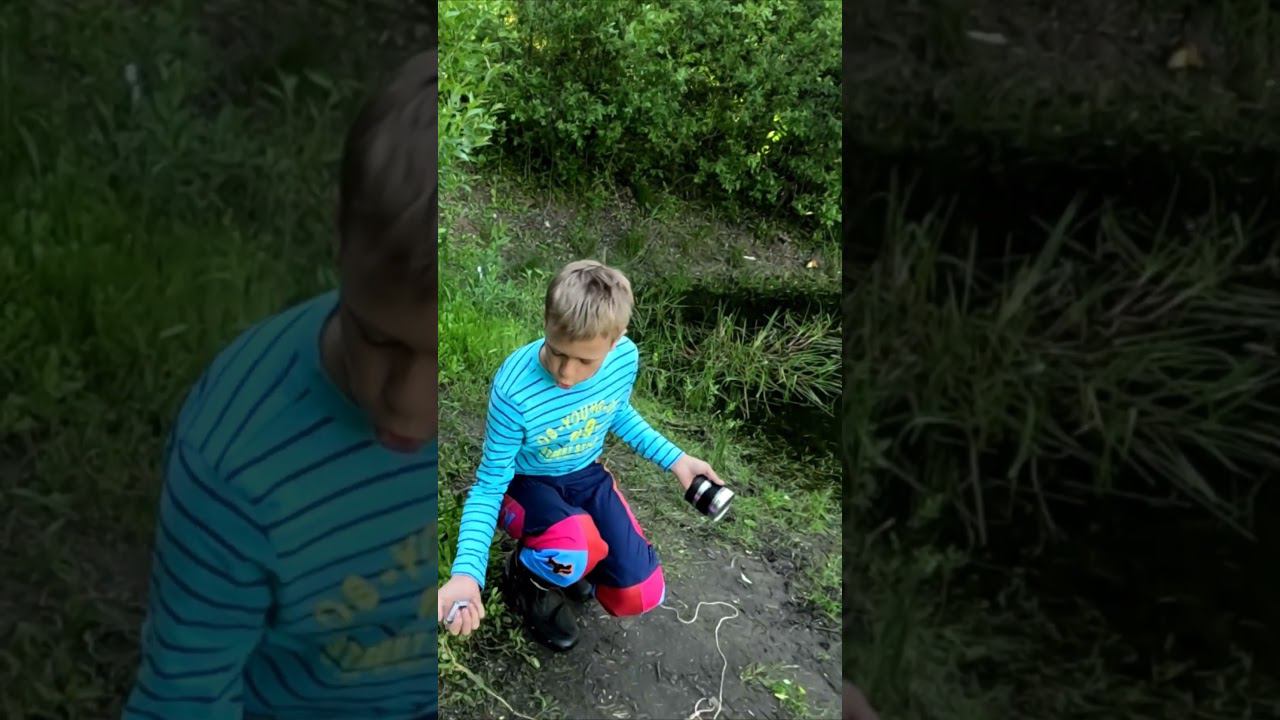 Карась на резинку. #рыбалка #fishing #ловлякарася #ловлякарпа #донка #закидушка #viral #top #рек